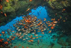 Cape Verdes Dive Centre - Sal Island. Cave diving.